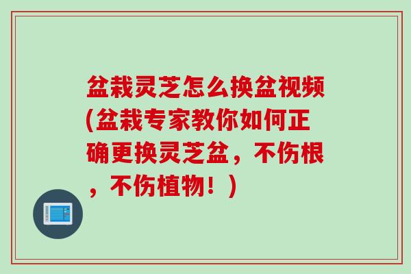 盆栽灵芝怎么换盆视频(盆栽专家教你如何正确更换灵芝盆，不伤根，不伤植物！)