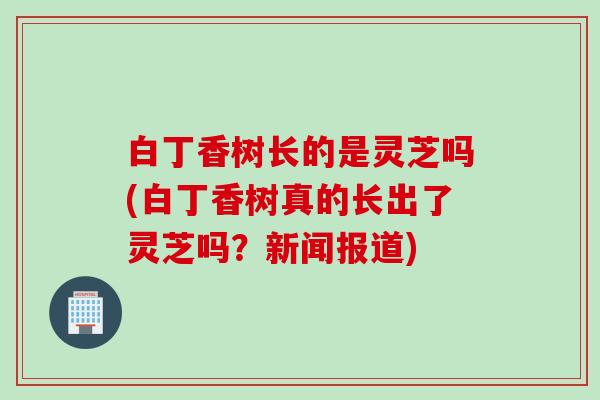 白丁香树长的是灵芝吗(白丁香树真的长出了灵芝吗?新闻报道) 白丁香树长的是灵芝吗(白丁香树真的长出了灵芝吗?新闻报道)