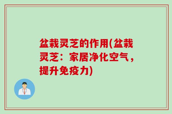 盆栽灵芝的作用(盆栽灵芝：家居净化空气，提升免疫力)
