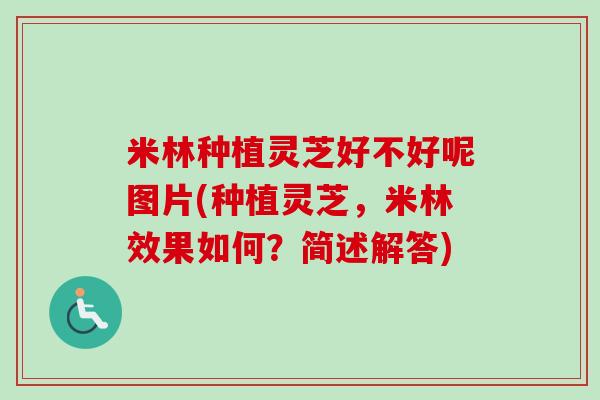 米林种植灵芝好不好呢图片(种植灵芝，米林效果如何？简述解答)