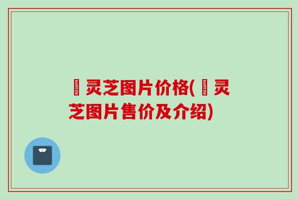 砳灵芝图片价格(砳灵芝图片售价及介绍) 砳灵芝图片价格(砳灵芝图片售价及介绍)