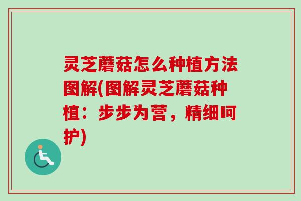 灵芝蘑菇怎么种植方法图解(图解灵芝蘑菇种植：步步为营，精细呵护)