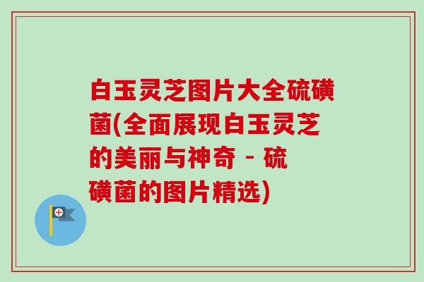 白玉灵芝图片大全硫磺菌(全面展现白玉灵芝的美丽与神奇 - 硫磺菌的图片精选)