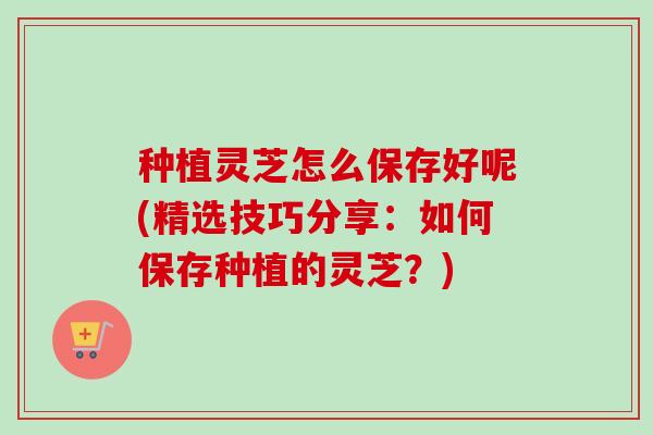 种植灵芝怎么保存好呢(精选技巧分享：如何保存种植的灵芝？)