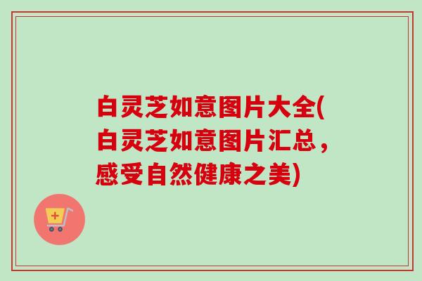 白灵芝如意图片大全(白灵芝如意图片汇总，感受自然健康之美)