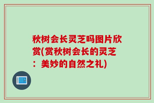 秋树会长灵芝吗图片欣赏(赏秋树会长的灵芝:美妙的自然之礼) 秋树会长灵芝吗图片欣赏(赏秋树会长的灵芝:美妙的自然之礼)