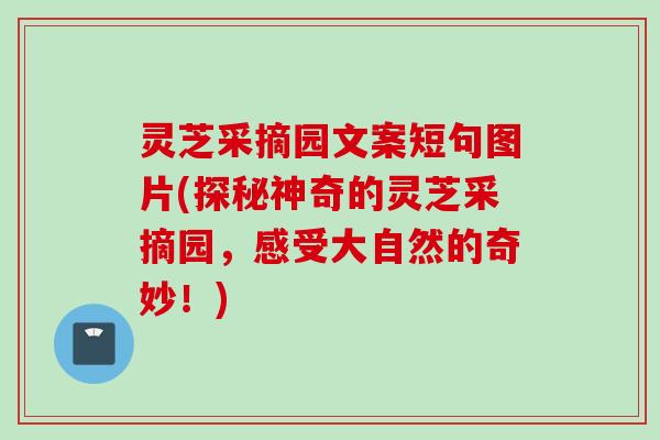 灵芝采摘园文案短句图片(探秘神奇的灵芝采摘园，感受大自然的奇妙！)