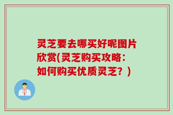 灵芝要去哪买好呢图片欣赏(灵芝购买攻略：如何购买优质灵芝？)