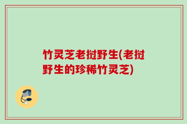 竹灵芝老挝野生(老挝野生的珍稀竹灵芝)