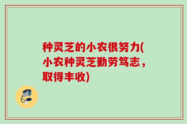 种灵芝的小农很努力(小农种灵芝勤劳笃志，取得丰收)
