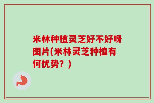 米林种植灵芝好不好呀图片(米林灵芝种植有何优势？)