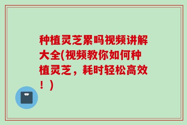 种植灵芝累吗视频讲解大全(视频教你如何种植灵芝，耗时轻松高效！)