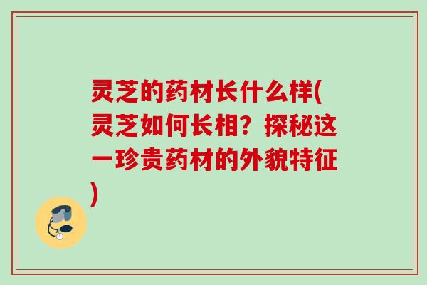 灵芝的药材长什么样(灵芝如何长相？探秘这一珍贵药材的外貌特征)