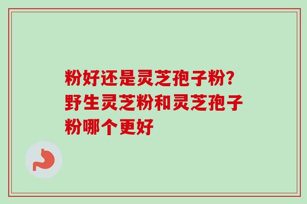 粉好还是灵芝孢子粉？野生灵芝粉和灵芝孢子粉哪个更好