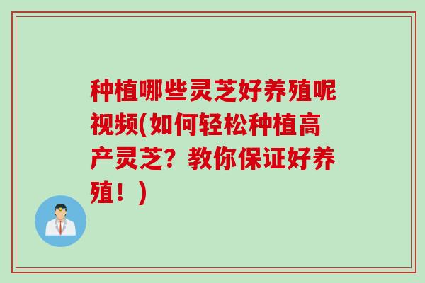 种植哪些灵芝好养殖呢视频(如何轻松种植高产灵芝？教你保证好养殖！)