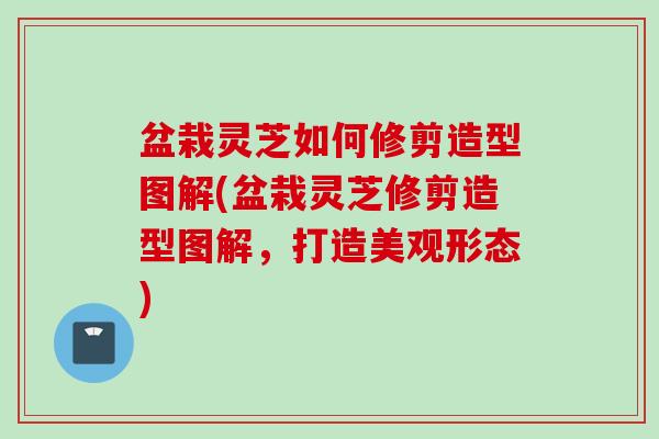 盆栽灵芝如何修剪造型图解(盆栽灵芝修剪造型图解，打造美观形态)