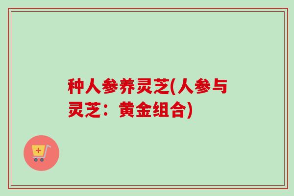 种人参养灵芝(人参与灵芝:黄金组合) 种人参养灵芝(人参与灵芝:黄金组合)