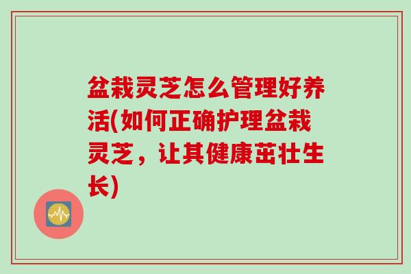 盆栽灵芝怎么管理好养活(如何正确护理盆栽灵芝,让其健康茁壮生长) 盆栽灵芝怎么管理好养活(如何正确护理盆栽灵芝,让其健康茁壮生长)