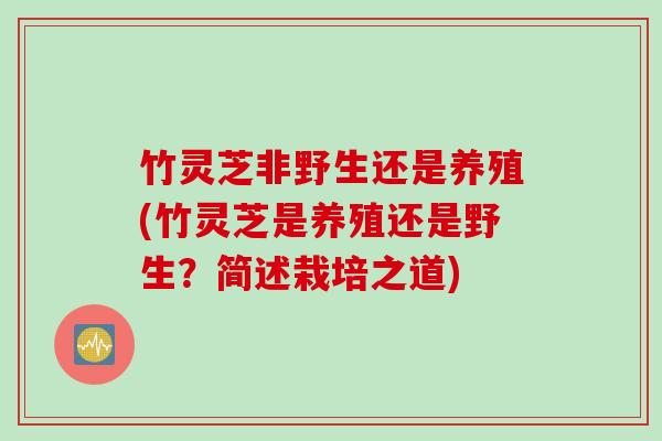 竹灵芝非野生还是养殖(竹灵芝是养殖还是野生？简述栽培之道)