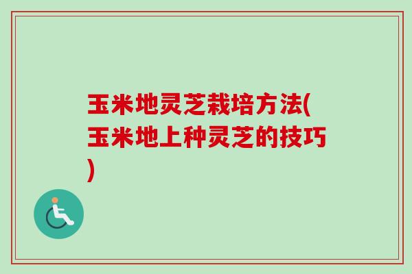 玉米地灵芝栽培方法(玉米地上种灵芝的技巧)