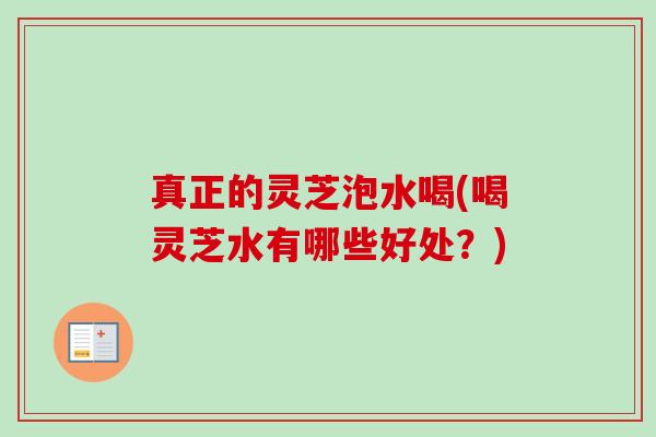 真正的灵芝泡水喝(喝灵芝水有哪些好处？)