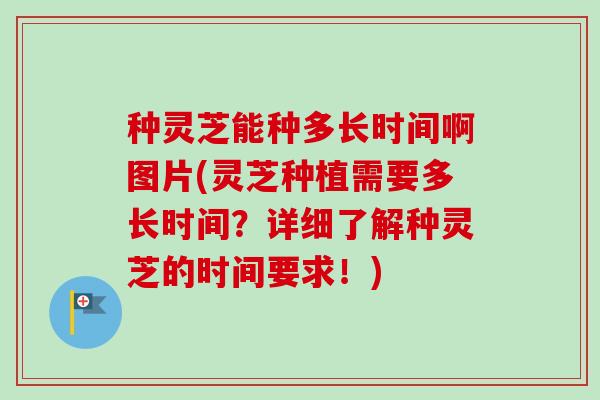 种灵芝能种多长时间啊图片(灵芝种植需要多长时间？详细了解种灵芝的时间要求！)