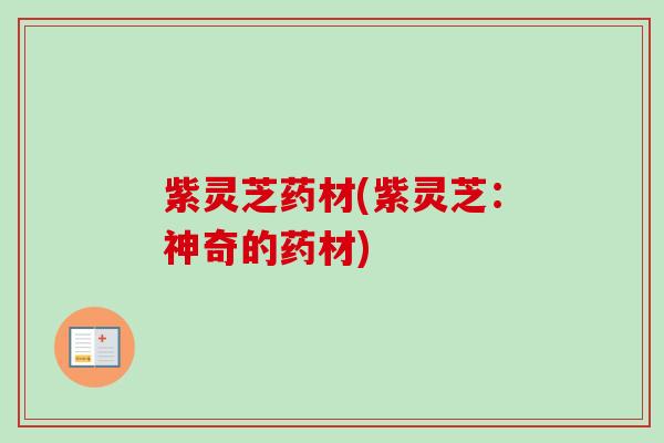 紫灵芝药材(紫灵芝:神奇的药材) 紫灵芝药材(紫灵芝:神奇的药材)
