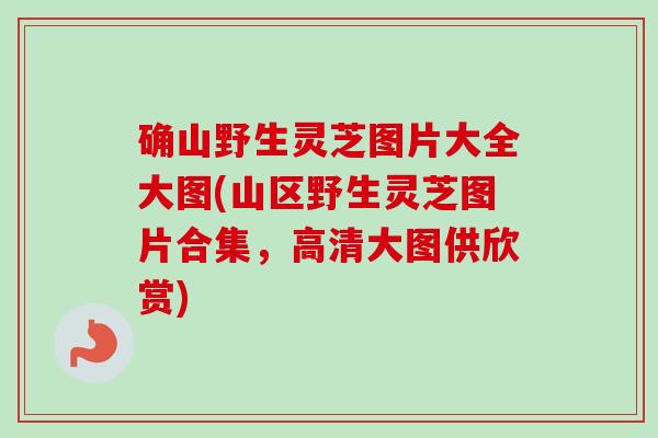 确山野生灵芝图片大全大图(山区野生灵芝图片合集，高清大图供欣赏)