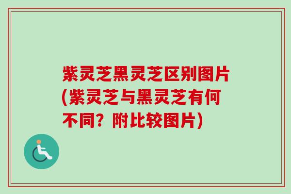 紫灵芝黑灵芝区别图片(紫灵芝与黑灵芝有何不同？附比较图片)