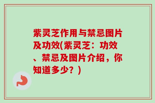 紫灵芝作用与禁忌图片及功效(紫灵芝：功效、禁忌及图片介绍，你知道多少？)