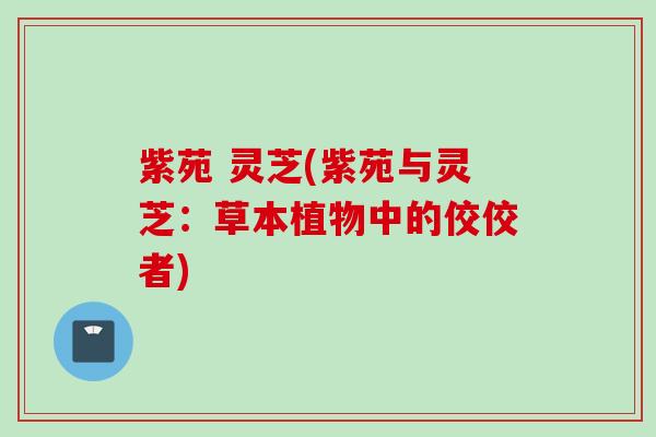 紫苑 灵芝(紫苑与灵芝:草本植物中的佼佼者) 紫苑 灵芝(紫苑与灵芝:草本植物中的佼佼者)