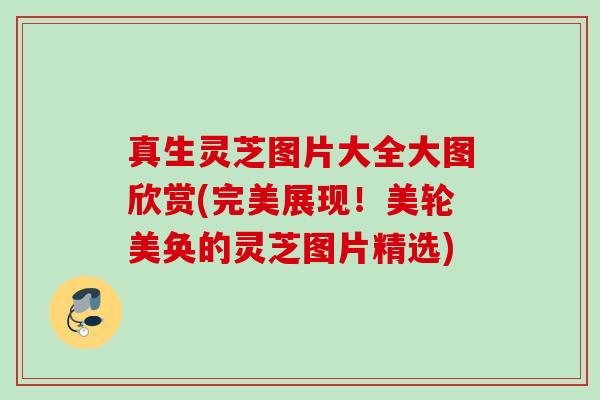 真生灵芝图片大全大图欣赏(完美展现!美轮美奂的灵芝图片精选) 真生灵芝图片大全大图欣赏(完美展现!美轮美奂的灵芝图片精选)