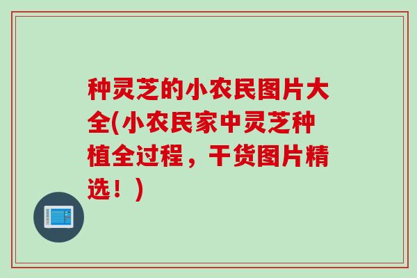 种灵芝的小农民图片大全(小农民家中灵芝种植全过程,干货图片精选!) 种灵芝的小农民图片大全(小农民家中灵芝种植全过程,干货图片精选!)