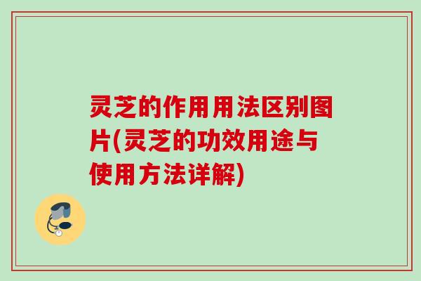 灵芝的作用用法区别图片(灵芝的功效用途与使用方法详解)