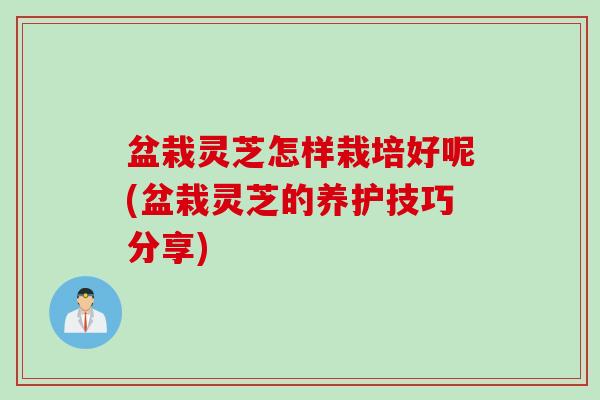 盆栽灵芝怎样栽培好呢(盆栽灵芝的养护技巧分享)