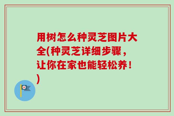 用树怎么种灵芝图片大全(种灵芝详细步骤，让你在家也能轻松养！)