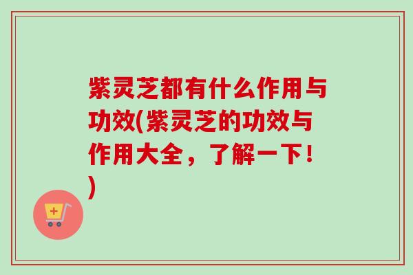 紫灵芝都有什么作用与功效(紫灵芝的功效与作用大全，了解一下！)