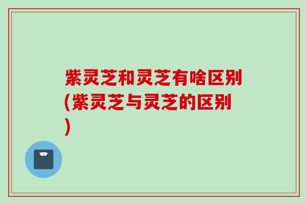 紫灵芝和灵芝有啥区别(紫灵芝与灵芝的区别)