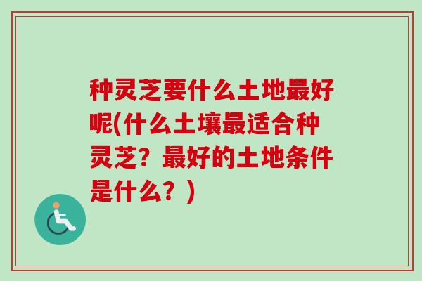 种灵芝要什么土地最好呢(什么土壤最适合种灵芝？最好的土地条件是什么？)