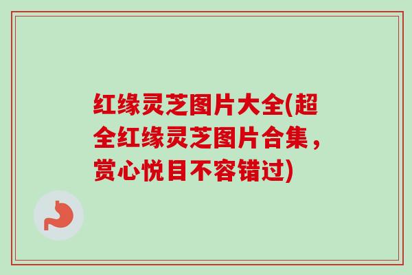红缘灵芝图片大全(超全红缘灵芝图片合集，赏心悦目不容错过)