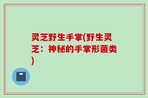 灵芝野生手掌(野生灵芝：神秘的手掌形菌类)