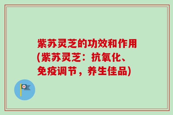 紫苏灵芝的功效和作用(紫苏灵芝：抗氧化、免疫调节，养生佳品)