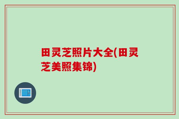 田灵芝照片大全(田灵芝美照集锦)