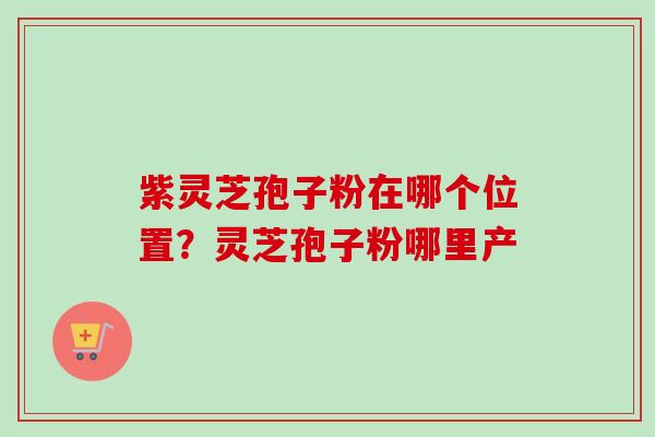 紫灵芝孢子粉在哪个位置？灵芝孢子粉哪里产