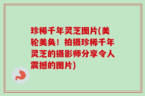 珍稀千年灵芝图片(美轮美奂！拍摄珍稀千年灵芝的摄影师分享令人震撼的图片)