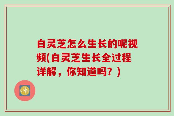 白灵芝怎么生长的呢视频(白灵芝生长全过程详解,你知道吗?) 白灵芝怎么生长的呢视频(白灵芝生长全过程详解,你知道吗?)