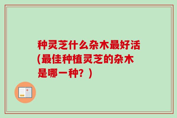 种灵芝什么杂木好活(佳种植灵芝的杂木是哪一种?) 种灵芝什么杂木好活(佳种植灵芝的杂木是哪一种?)