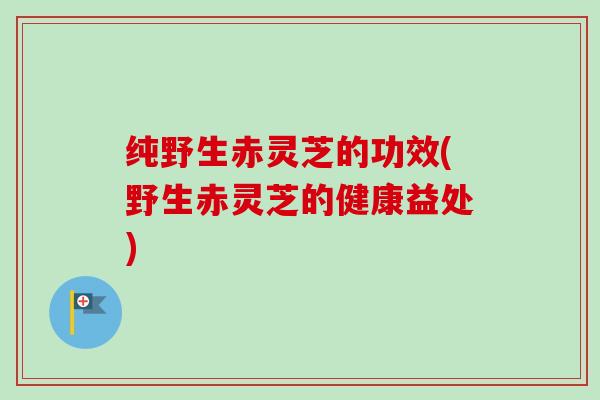 纯野生赤灵芝的功效(野生赤灵芝的健康益处)