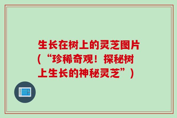 生长在树上的灵芝图片(“珍稀奇观！探秘树上生长的神秘灵芝”)