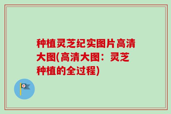 种植灵芝纪实图片高清大图(高清大图：灵芝种植的全过程)